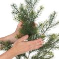 Artificial Pine Branch for Creative Floristry 175cm Green | Floristik24.co.uk