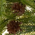 Artificial pine branch garland with cones for Advent decoration 218cm | Floristik24.co.uk