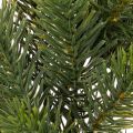 Artificial Green Pine Wreath for Door Decoration 35cm | Floristik24.co.uk