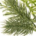 Artificial Pine Branch for Festive Decorations 22cm Set of 2 | Floristik24.co.uk