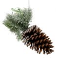 Floristik24 Pine cones with decoration for hanging white 25cm - 30cm