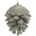 Floristik24 Pine cones decorative cones for hanging brown 8cm 4pcs