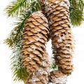Floristik24 Fir green with cones, winter decoration, fir branch for hanging, snowed cone decoration L33cm