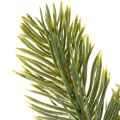 **Artificial Pine Sprigs Green 25cm Pack of 24 for Winter Decorations**

```html
<h2>Artificial Pine Sprigs for Seasonal Decorations</h2>

<p>
These artificial green pine sprigs are ideal for adding a touch of nature to your seasonal home decorations. Mea | Floristik24.co.uk
