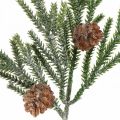 Floristik24 Deco branch larch with cones artificial green frost effect 29cm