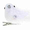 Floristik24 Dove on the clip white 14cm 2pcs