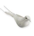 Floristik24 Deco doves on wire white 16cm 4pcs