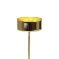 Floristik24 Tealight holder for plugging in gold tealight holder Advent Ø4cm 8pcs