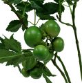 Floristik24 Tomato branch L60cm green