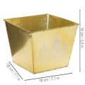 Metal Planter with Glittering Christmas Tree Design, 18cm, Gold | Floristik24.co.uk