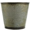 Floristik24 Plant bucket with leaf decoration, metal vessel, autumn golden Ø18cm H17cm
