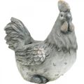 Floristik24 Chicken for planting, Easter decoration, plant pot, spring, decorative chicken concrete look H30cm