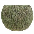 Floristik24 Planter concrete antique look green, brown planter Ø13cm