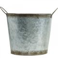 Floristik24 Plant pot with handles, decorative bowl rust decoration, metal vessel silver Ø26cm H25.5cm