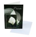 Floristik24 Mourning cards with Calla &quot;In silent mourning&quot; 5pcs