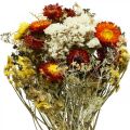 Floristik24 Dried flower bouquet Everlasting flowers and sea lavender 125g dried flowers