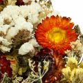 Floristik24 Dried flower bouquet Everlasting flowers and sea lavender 125g dried flowers