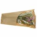Floristik24 Wild grass bouquet with straw flowers dry flowers 70g