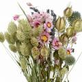Floristik24 Wild grass bouquet with straw flowers dry flowers 70g