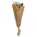 Floristik24 Dried flower bouquet thistle eucalyptus dried silver 64cm