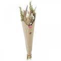 Floristik24 Bouquet of dried flowers grass Phalaris straw flowers pink 60cm 110g
