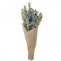 Floristik24 Bouquet of dried flowers Bouquet of meadow flowers blue H50cm 100g