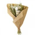 Floristik24 Bouquet of dried flowers straw flowers grain poppy capsule dry grass 50cm