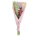 Floristik24 Dried flower bouquet straw flowers beach lilac pink 58cm