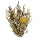 Floristik24 Bouquet of dried flowers Small bouquet of dried flowers decoration 36cm