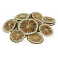 Floristik24 Lime slices green 500g lime slices