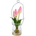 Floristik24 Tulip in glass pink H22,5cm 1pc