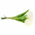 Floristik24 Spring decoration tulips in a bunch white 26.5cm 5pcs