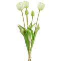 Floristik24 Tulips Cream Real-Touch Floral Decoration L43,5cm 5pcs