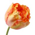 Floristik24 Tulips Pink-Yellow 86cm 3pcs