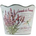 Floristik24 Planter plastic lavender flower pot Ø13.5cm H12cm
