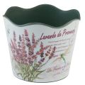 Floristik24 Planter plastic lavender flower pot Ø13.5cm H12cm