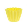 Floristik24 Pot Adonis light yellow 11cm 20pcs
