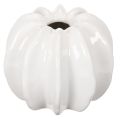 Floristik24 White Ceramic Pumpkin-Shaped Vase – 15cm for Home Decoration