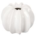Floristik24 Glossy White Pumpkin Vase for Artificial and Dried Flowers, 19cm