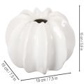 Glossy White Pumpkin Vase for Artificial and Dried Flowers, 19cm | Floristik24.co.uk