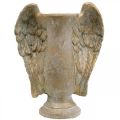 Floristik24 Decorative vase made of concrete, amphora with angel wings golden vintage look W20.5cm H26cm