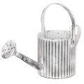Floristik24 Vintage planter Ø17cm, decorative watering can, metal planter shabby chic