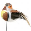 Floristik24 Mini birds on wire white/brown 5-7cm 16p