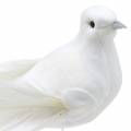 Floristik24 Dove on wire white 10cm 6pcs