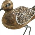 Floristik24 Wooden Bird Sculpture Bathroom Decor Water Bird H22cm