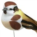 Floristik24 Spring decoration, birds on a wire, artificial bird brown, white H3cm 12pcs