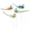 Floristik24 Decorative birds, spring decoration, birds with feathers, summer, birds on wire, colorful H3.5cm, 12 pieces