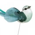 Floristik24 Decorative birds, spring decoration, birds with feathers, summer, birds on wire, colorful H3.5cm, 12 pieces