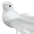 Floristik24 Wedding decoration, doves on wire, wedding doves white H4.5cm 12pcs