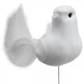 Floristik24 Wedding decoration, doves on wire, wedding doves white H4.5cm 12pcs